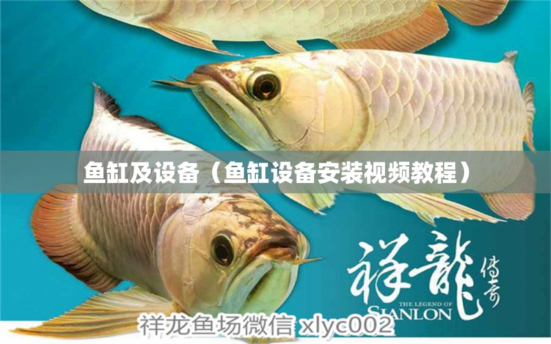 魚(yú)缸及設(shè)備（魚(yú)缸設(shè)備安裝視頻教程） 元寶鳳凰魚(yú)