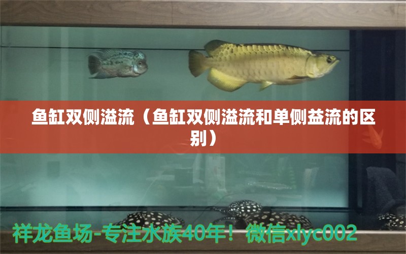 魚缸雙側(cè)溢流（魚缸雙側(cè)溢流和單側(cè)益流的區(qū)別） 充氧泵