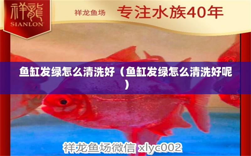 魚缸發(fā)綠怎么清洗好（魚缸發(fā)綠怎么清洗好呢）