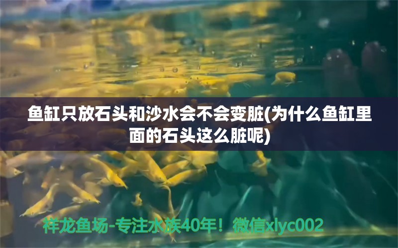 魚(yú)缸只放石頭和沙水會(huì)不會(huì)變臟(為什么魚(yú)缸里面的石頭這么臟呢)