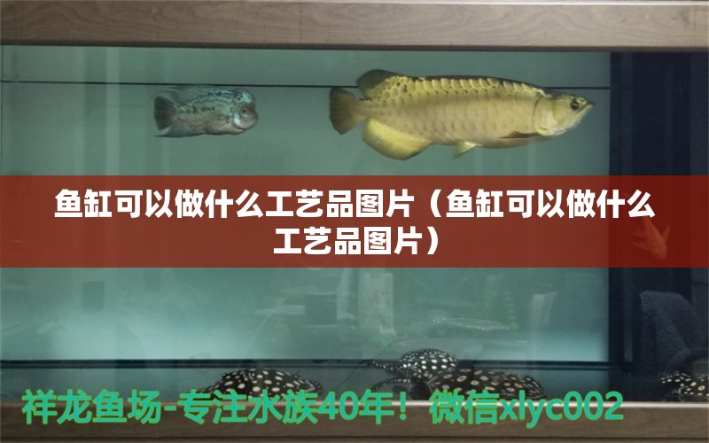 魚缸可以做什么工藝品圖片（魚缸可以做什么工藝品圖片）