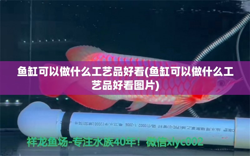 魚缸可以做什么工藝品好看(魚缸可以做什么工藝品好看圖片)