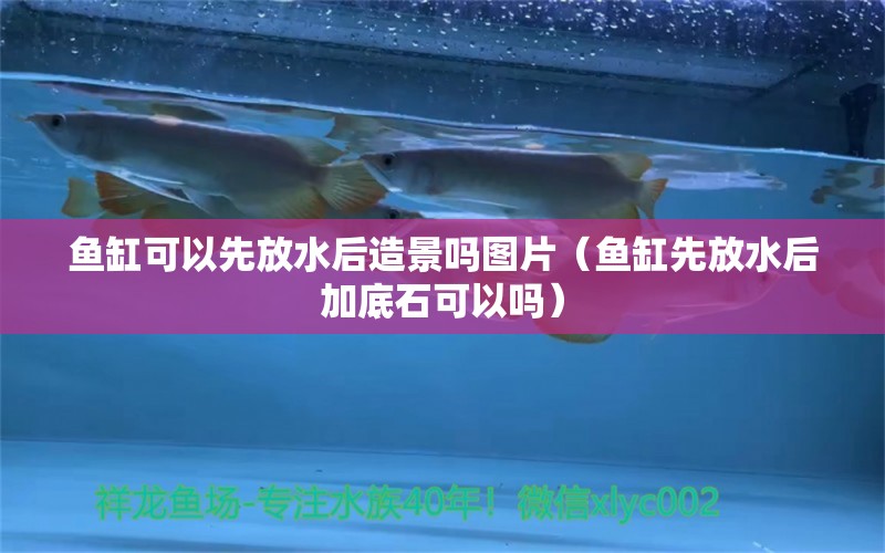 魚缸可以先放水后造景嗎圖片（魚缸先放水后加底石可以嗎） 廣州觀賞魚批發(fā)市場