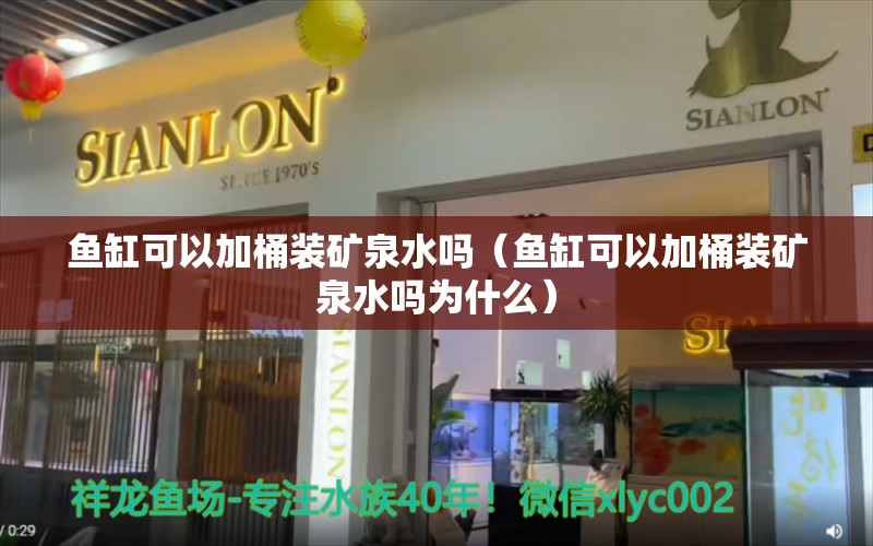 魚缸可以加桶裝礦泉水嗎（魚缸可以加桶裝礦泉水嗎為什么）