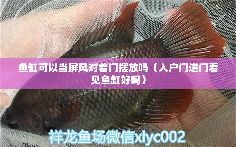 魚缸可以當(dāng)屏風(fēng)對著門擺放嗎（入戶門進門看見魚缸好嗎）