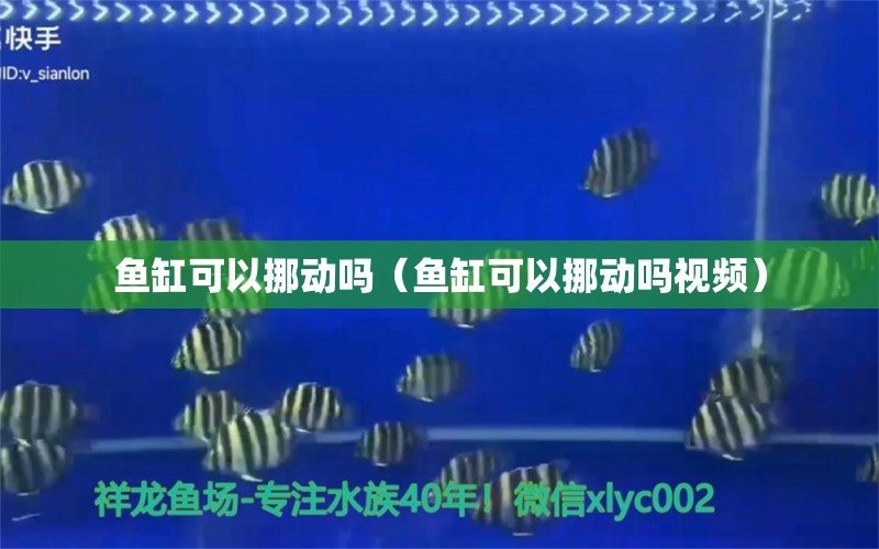 魚(yú)缸可以挪動(dòng)嗎（魚(yú)缸可以挪動(dòng)嗎視頻） 其他品牌魚(yú)缸