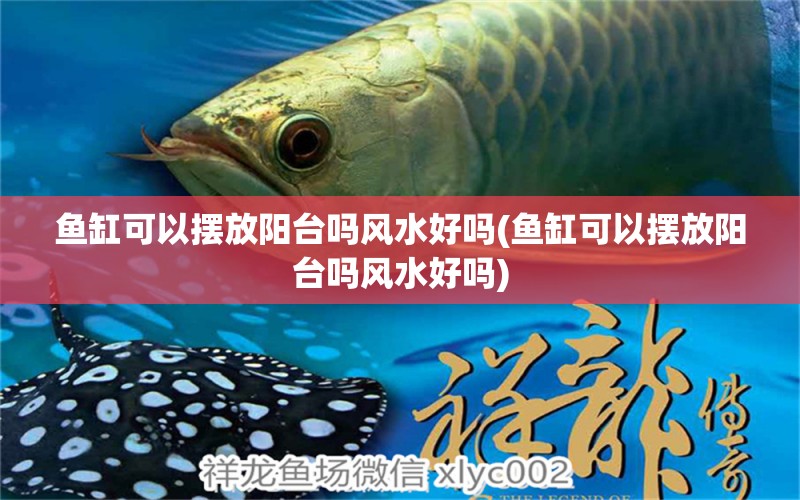 魚缸可以擺放陽臺嗎風(fēng)水好嗎(魚缸可以擺放陽臺嗎風(fēng)水好嗎) 魚缸風(fēng)水