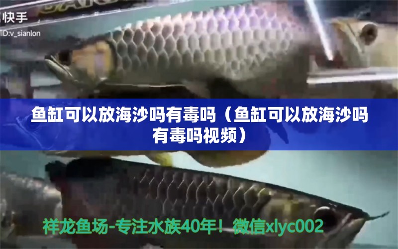 魚缸可以放海沙嗎有毒嗎（魚缸可以放海沙嗎有毒嗎視頻）