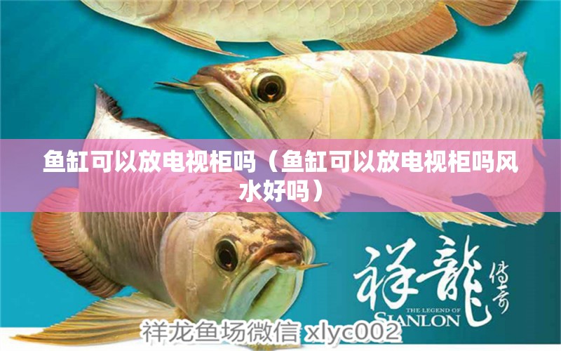 魚缸可以放電視柜嗎（魚缸可以放電視柜嗎風(fēng)水好嗎）