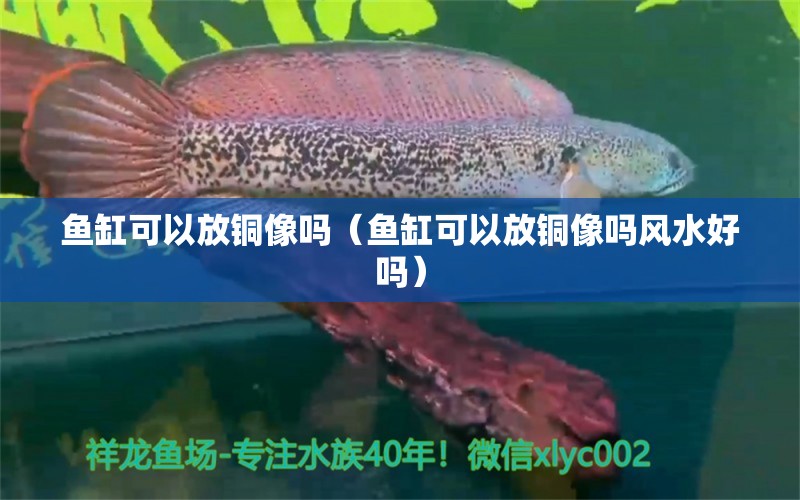 魚缸可以放銅像嗎（魚缸可以放銅像嗎風(fēng)水好嗎） 魚缸風(fēng)水