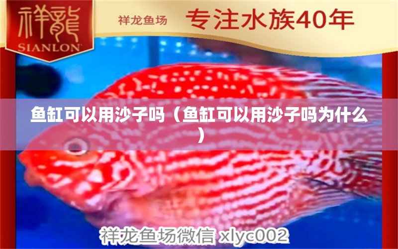 魚缸可以用沙子嗎（魚缸可以用沙子嗎為什么）