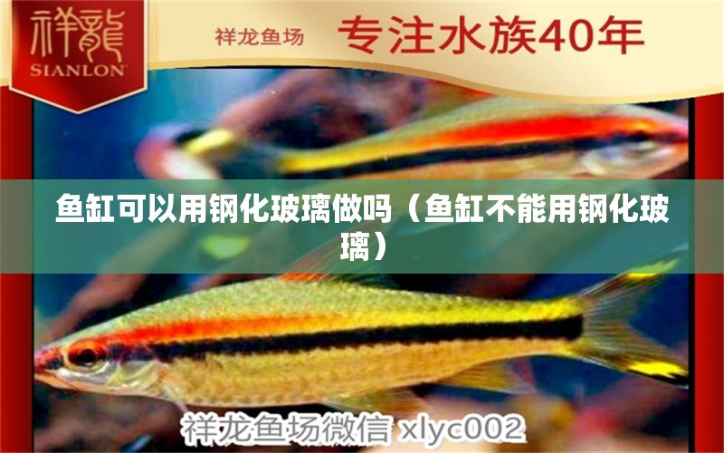 魚缸可以用鋼化玻璃做嗎（魚缸不能用鋼化玻璃） 黑影道人魚