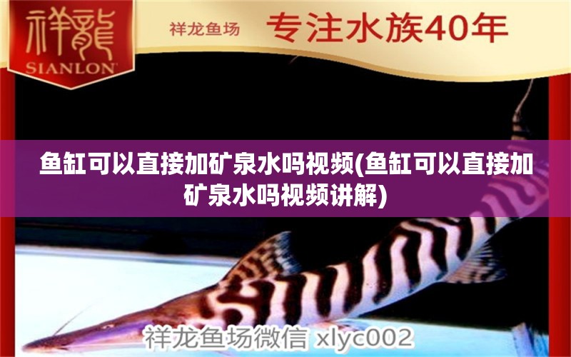 魚(yú)缸可以直接加礦泉水嗎視頻(魚(yú)缸可以直接加礦泉水嗎視頻講解) 祥龍金禾金龍魚(yú)