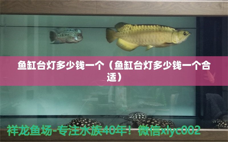 魚缸臺燈多少錢一個（魚缸臺燈多少錢一個合適）