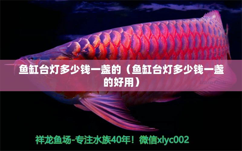 魚缸臺燈多少錢一盞的（魚缸臺燈多少錢一盞的好用） 祥龍水族醫(yī)院