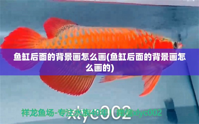 魚缸后面的背景畫怎么畫(魚缸后面的背景畫怎么畫的) 黃金斑馬魚