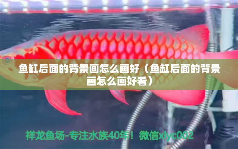 魚(yú)缸后面的背景畫(huà)怎么畫(huà)好（魚(yú)缸后面的背景畫(huà)怎么畫(huà)好看） 祥龍水族醫(yī)院