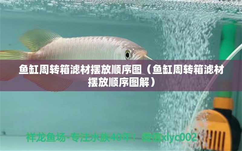 魚缸周轉(zhuǎn)箱濾材擺放順序圖（魚缸周轉(zhuǎn)箱濾材擺放順序圖解）