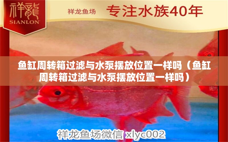 魚缸周轉(zhuǎn)箱過濾與水泵擺放位置一樣嗎（魚缸周轉(zhuǎn)箱過濾與水泵擺放位置一樣嗎）