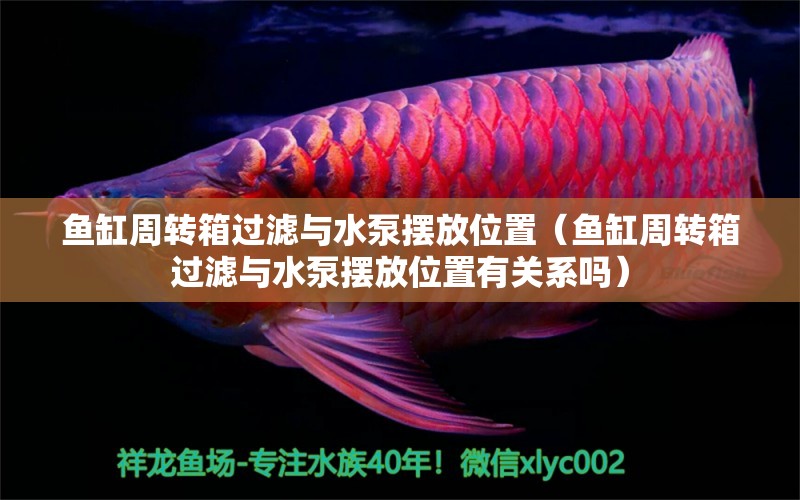 魚缸周轉(zhuǎn)箱過濾與水泵擺放位置（魚缸周轉(zhuǎn)箱過濾與水泵擺放位置有關(guān)系嗎）