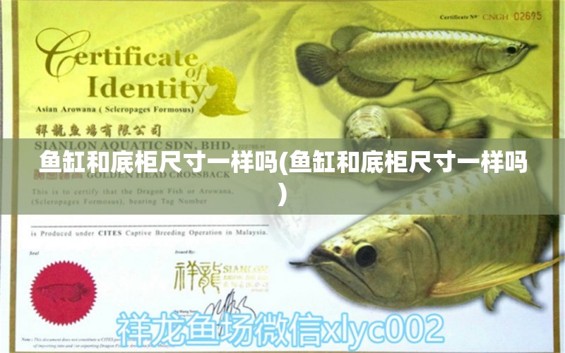 魚缸和底柜尺寸一樣嗎(魚缸和底柜尺寸一樣嗎) 黑白雙星魚