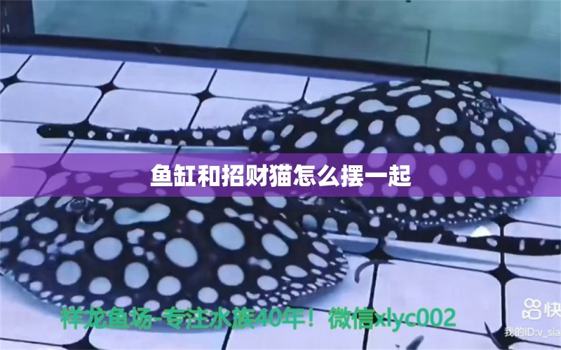 魚缸和招財貓怎么擺一起