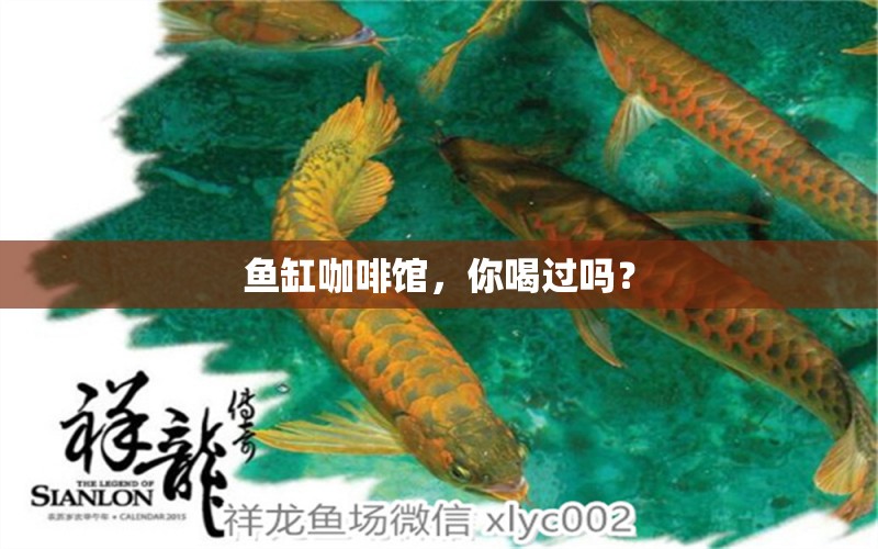 魚缸咖啡館，你喝過嗎？ 馬來西亞咖啡 第1張