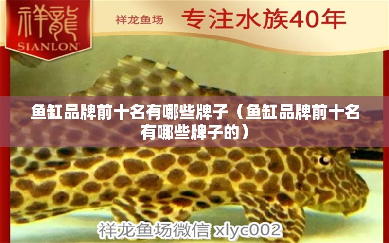 魚缸品牌前十名有哪些牌子（魚缸品牌前十名有哪些牌子的）