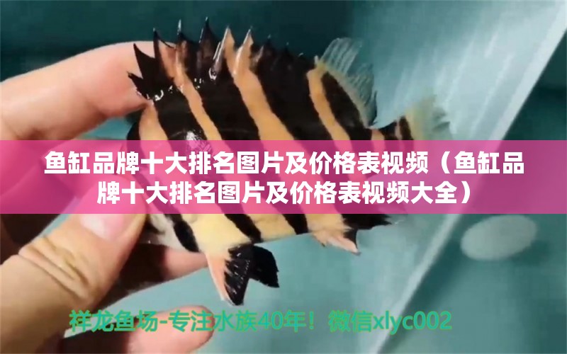 魚缸品牌十大排名圖片及價格表視頻（魚缸品牌十大排名圖片及價格表視頻大全） iwish愛唯希品牌魚缸