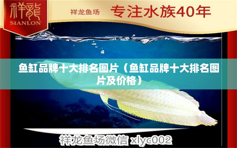 魚缸品牌十大排名圖片（魚缸品牌十大排名圖片及價(jià)格）