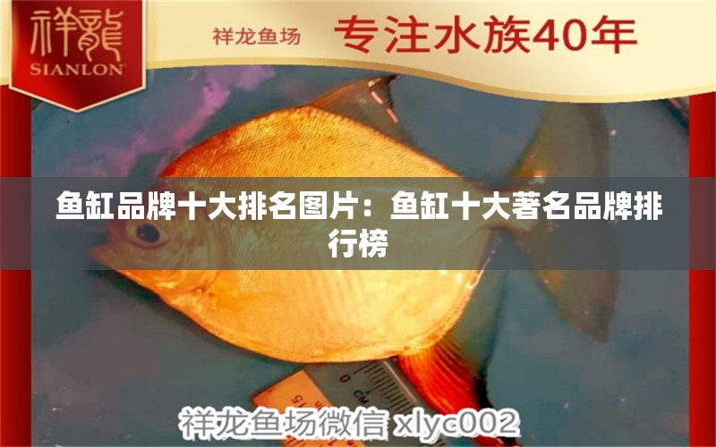 魚缸品牌十大排名圖片：魚缸十大著名品牌排行榜