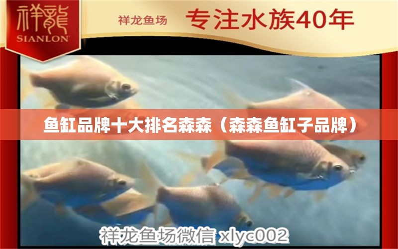 魚缸品牌十大排名森森（森森魚缸子品牌） 元寶鳳凰魚