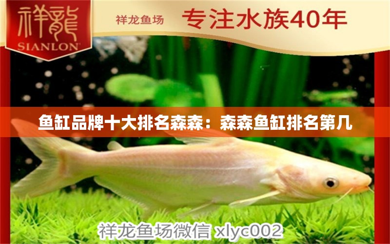 魚缸品牌十大排名森森：森森魚缸排名第幾