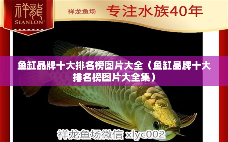 魚缸品牌十大排名榜圖片大全（魚缸品牌十大排名榜圖片大全集）