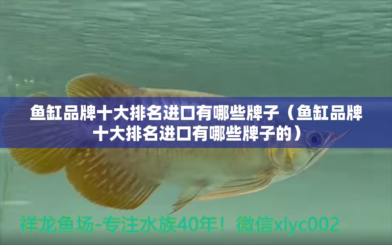 魚缸品牌十大排名進(jìn)口有哪些牌子（魚缸品牌十大排名進(jìn)口有哪些牌子的）