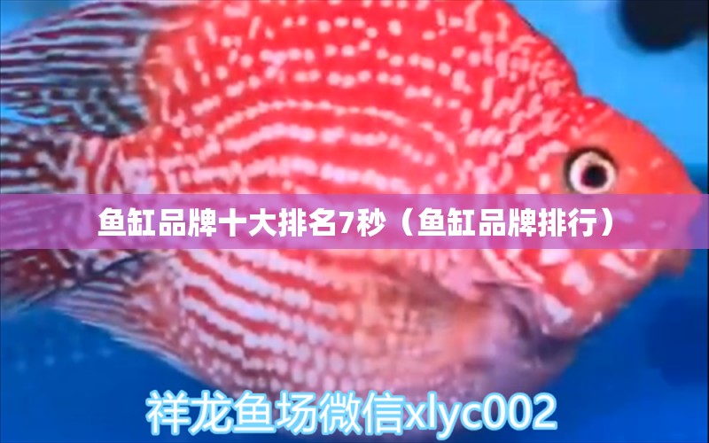 魚缸品牌十大排名7秒（魚缸品牌排行） 白子關(guān)刀魚