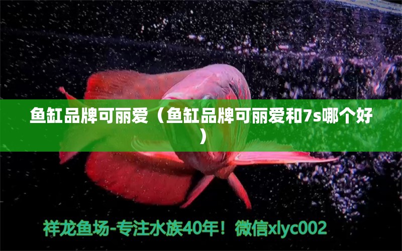 魚缸品牌可麗愛（魚缸品牌可麗愛和7s哪個好） iwish愛唯希品牌魚缸