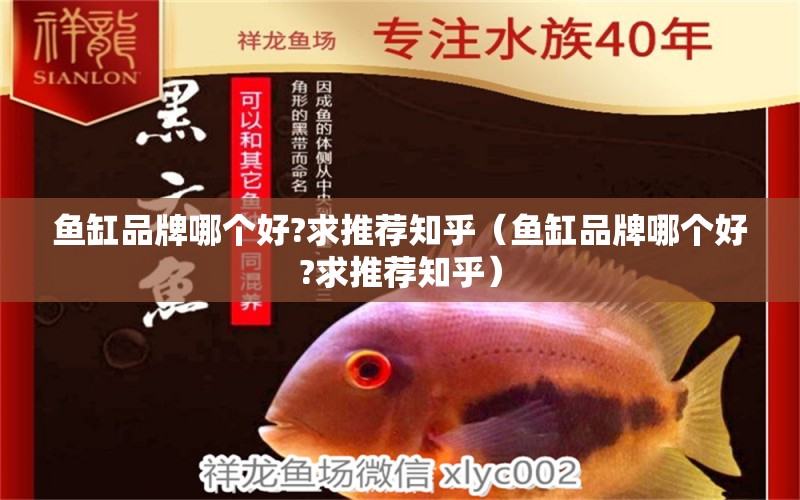 魚缸品牌哪個好?求推薦知乎（魚缸品牌哪個好?求推薦知乎） 其他品牌魚缸