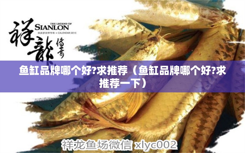 魚缸品牌哪個好?求推薦（魚缸品牌哪個好?求推薦一下）