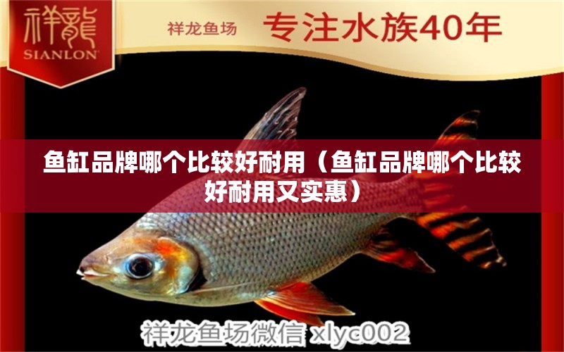 魚缸品牌哪個比較好耐用（魚缸品牌哪個比較好耐用又實(shí)惠） iwish愛唯希品牌魚缸