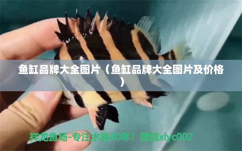 魚缸品牌大全圖片（魚缸品牌大全圖片及價格）