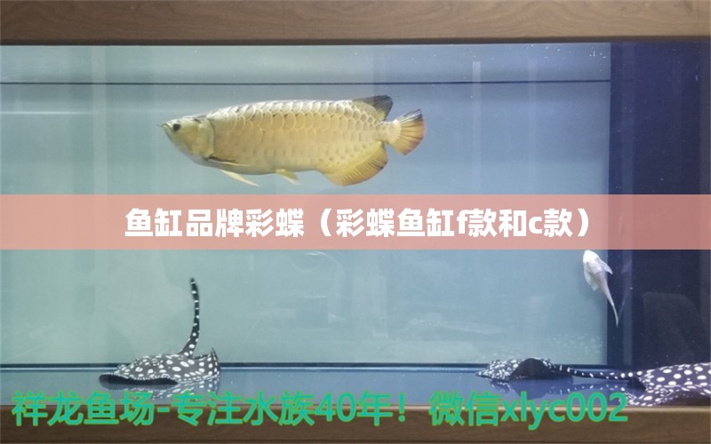 魚缸品牌彩蝶（彩蝶魚缸f款和c款）