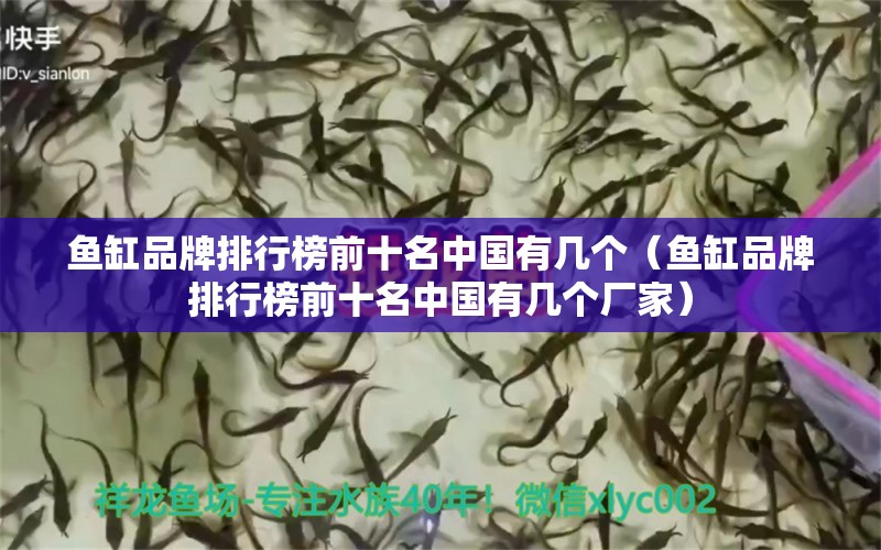 魚缸品牌排行榜前十名中國有幾個（魚缸品牌排行榜前十名中國有幾個廠家）