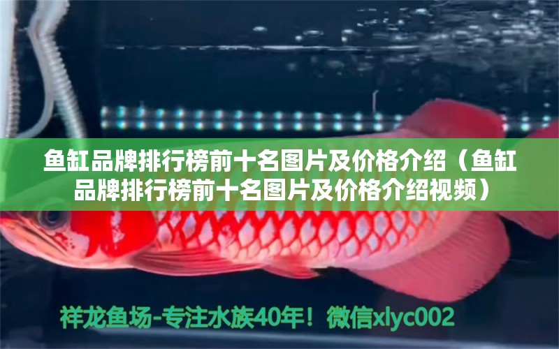 魚缸品牌排行榜前十名圖片及價格介紹（魚缸品牌排行榜前十名圖片及價格介紹視頻）