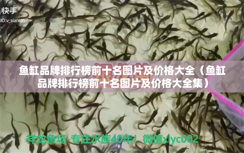 魚(yú)缸品牌排行榜前十名圖片及價(jià)格大全（魚(yú)缸品牌排行榜前十名圖片及價(jià)格大全集） 其他品牌魚(yú)缸