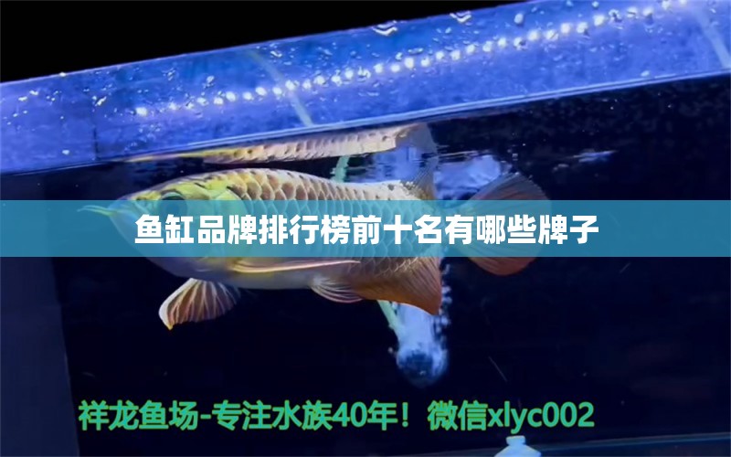 魚缸品牌排行榜前十名有哪些牌子