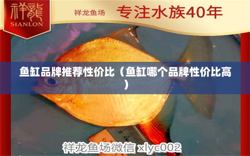 魚缸品牌推薦性價比（魚缸哪個品牌性價比高）