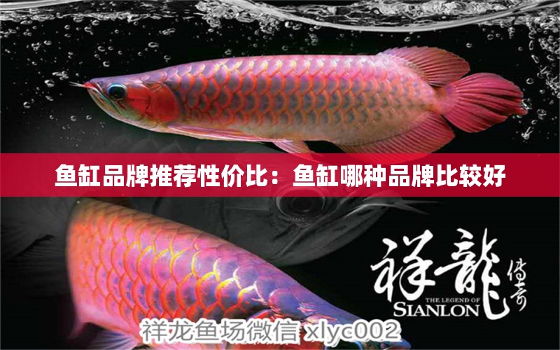 魚缸品牌推薦性價比：魚缸哪種品牌比較好 廣州龍魚批發(fā)市場