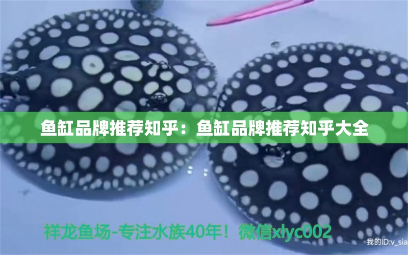 魚缸品牌推薦知乎：魚缸品牌推薦知乎大全 水族維護(hù)服務(wù)（上門） 第1張