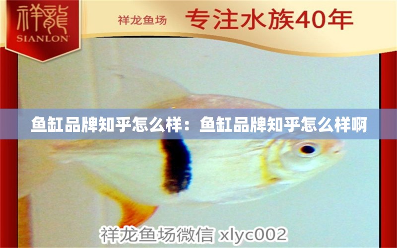 魚缸品牌知乎怎么樣：魚缸品牌知乎怎么樣啊